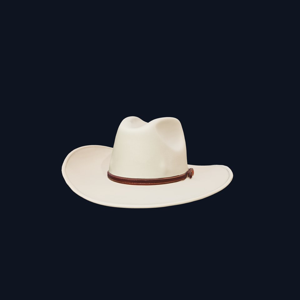 Cowboy Hat D Model Pack